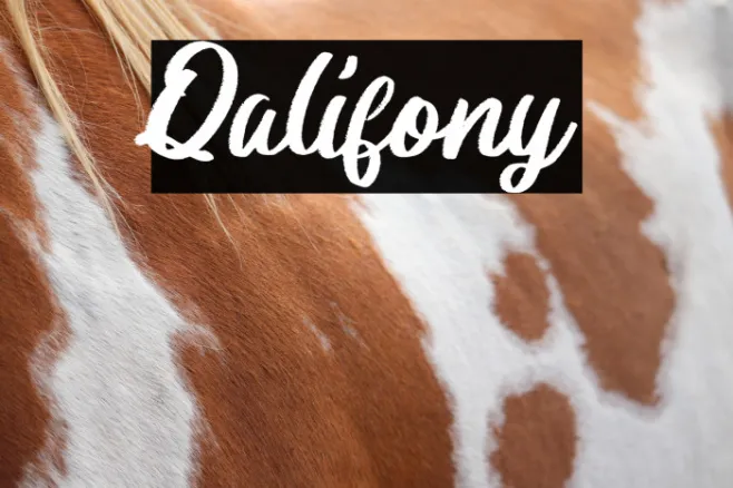 Qalifony Example 3