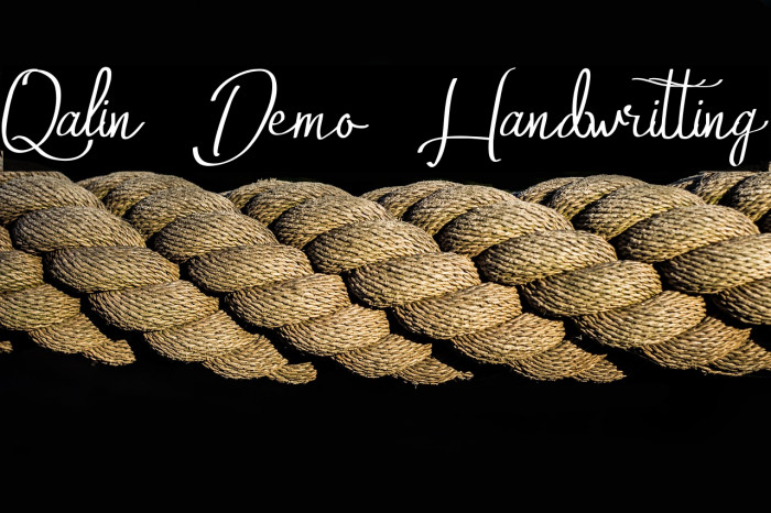 Qalin Demo Handwritting Example 3