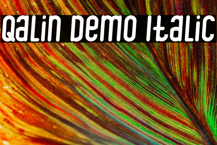 Qalin Demo Italic Example 2