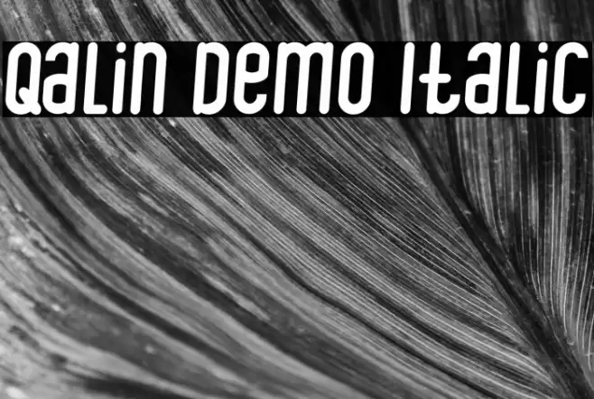 Qalin Demo Italic Font examples