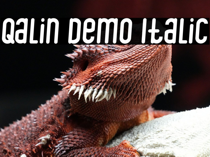 Qalin Demo Italic Example 3