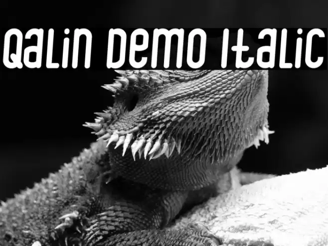 Qalin Demo Italic Font examples