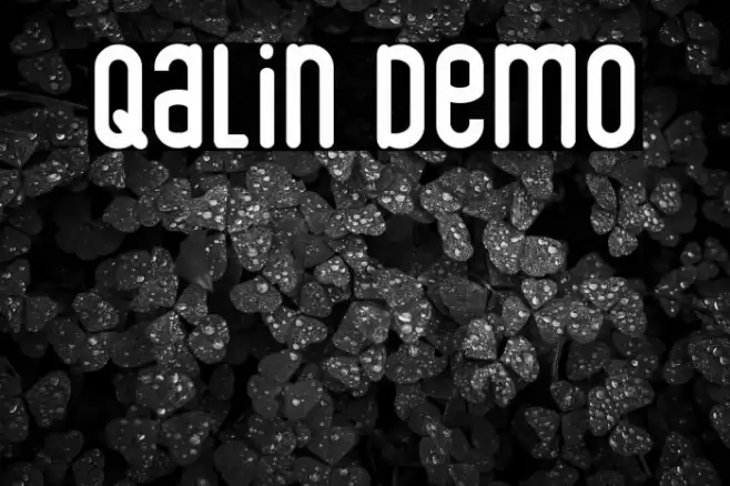 Qalin Demo Font examples