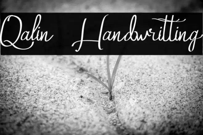 Qalin Handwritting Font examples