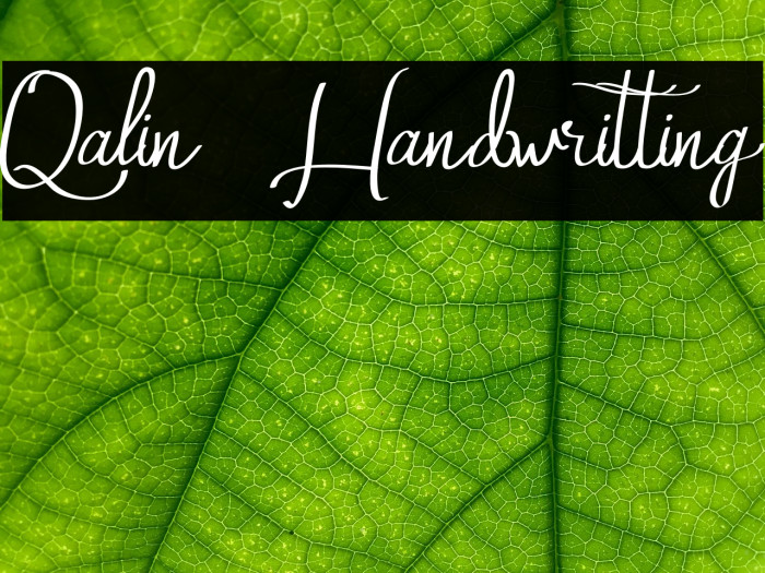 Qalin Handwritting Font examples