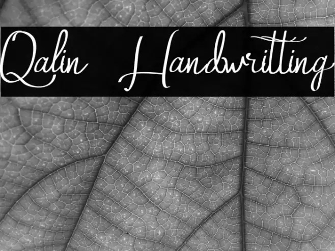 Qalin Handwritting Font examples