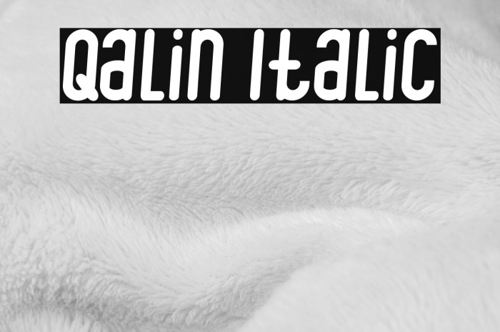 Qalin Italic Font examples