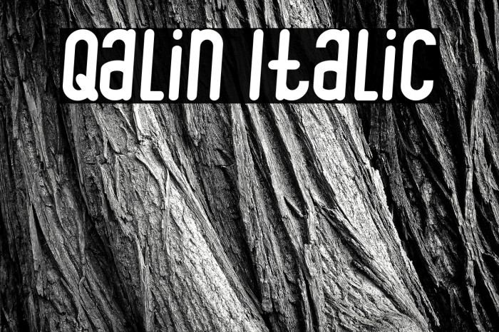 Qalin Italic Font examples