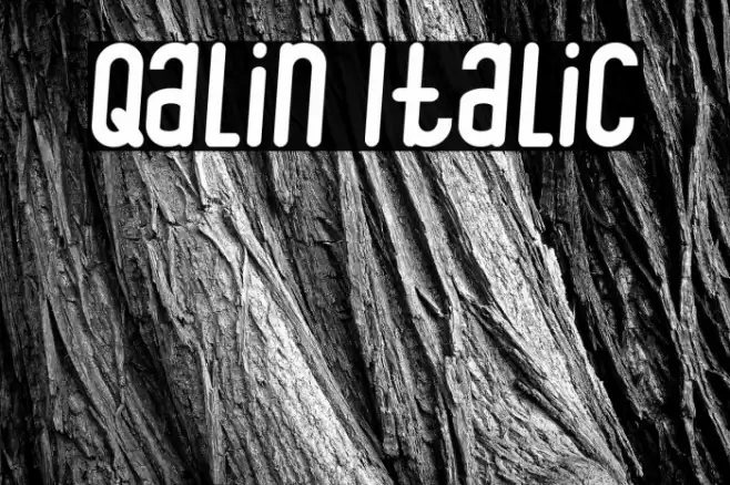 Qalin Italic Шрифта examples