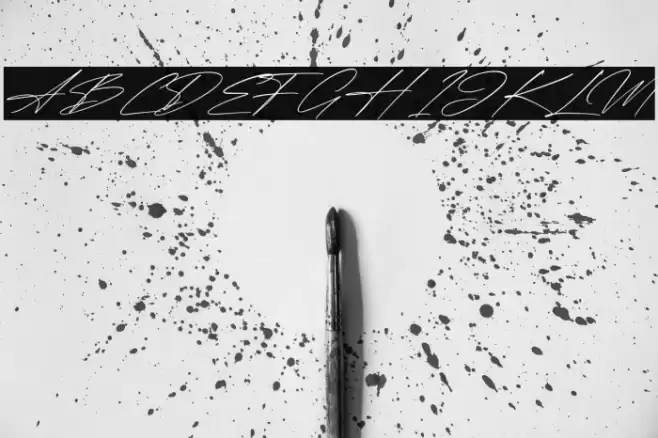 Qalisha Signature Script Italic Font examples