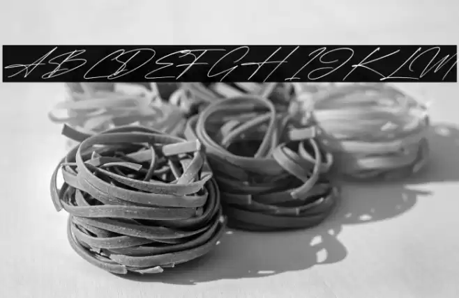 Qalisha Signature Script Italic Font examples