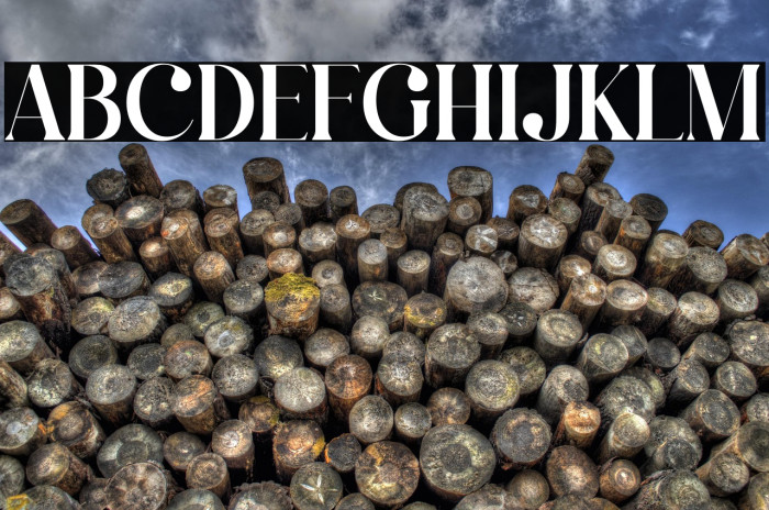 Qalisha Signature Serif Example 2