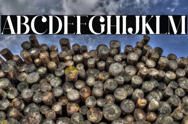 Qalisha Signature Serif Example 2
