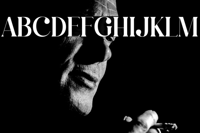 Qalisha Signature Serif Example 3