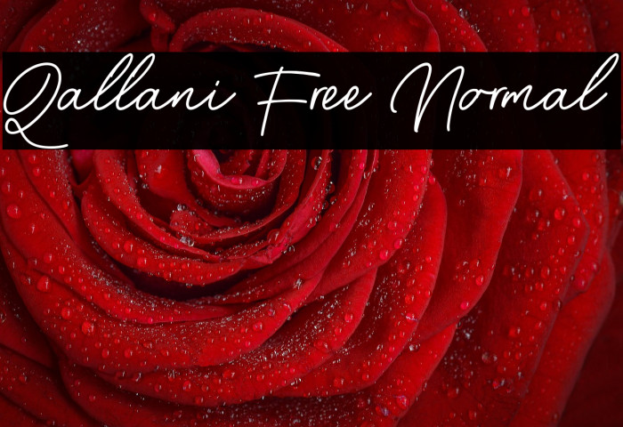 Qallani Free Normal Example 1