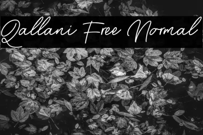 Qallani Free Normal Font examples