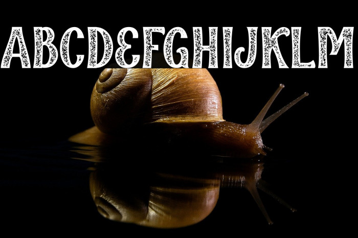 Qallégro Rustic Demo Example 3