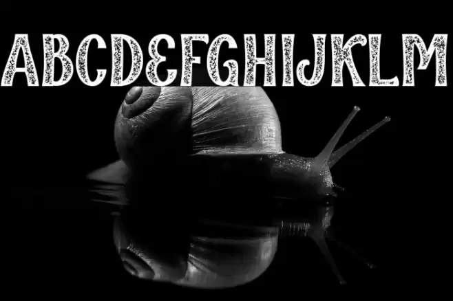 Qallégro Rustic Demo Font examples