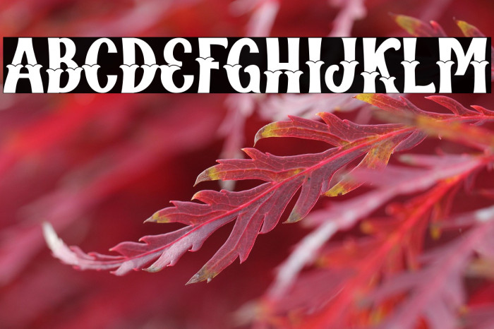 Qallégro Vintage Demo Example 1