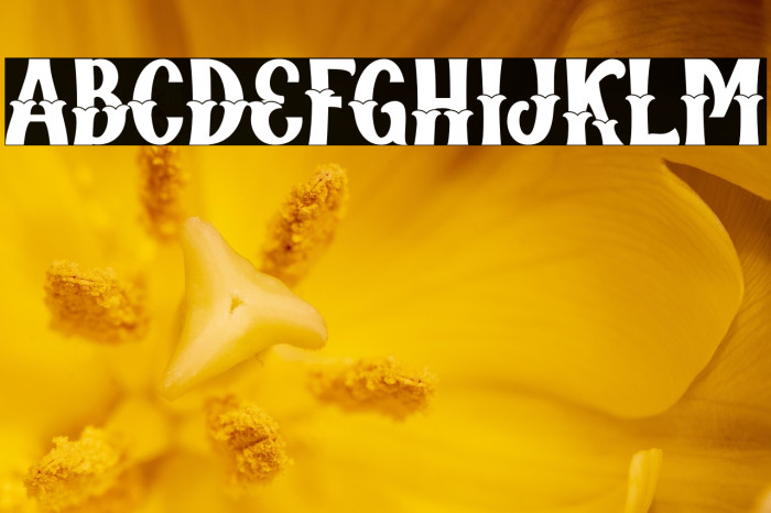 Qallégro Vintage Demo Example 3