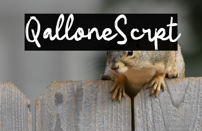 Qallone Script Example 1