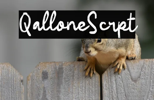 Qallone Script Example 1