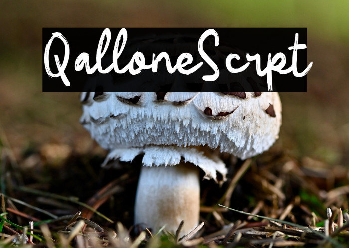 Qallone Script Example 2