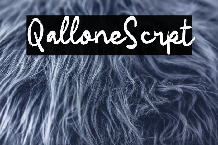 Qallone Script Example 3