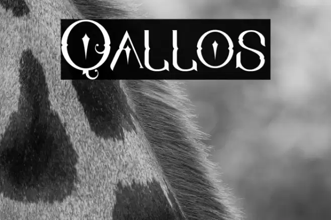 Qallos Font examples
