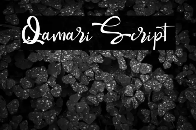 QamariScript Font examples