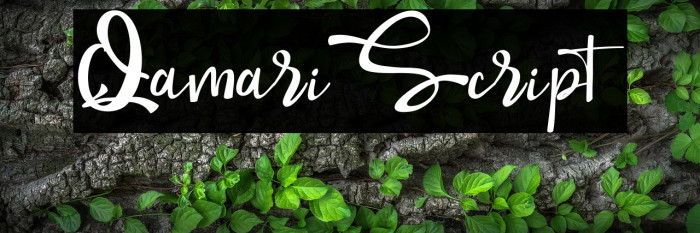 QamariScript Example 3