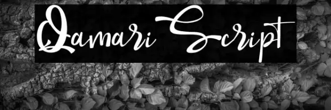 QamariScript Font examples