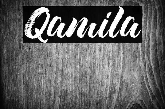 Qamila Font examples