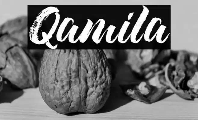 Qamila Font examples