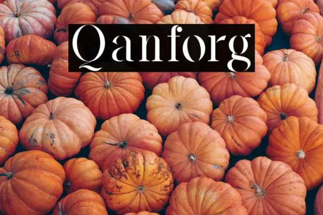 Qanforg Example 3