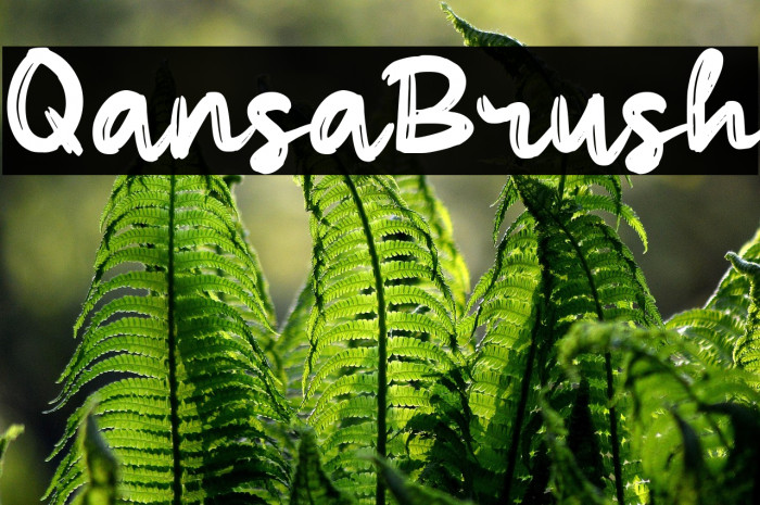 Qansa Brush Example 2