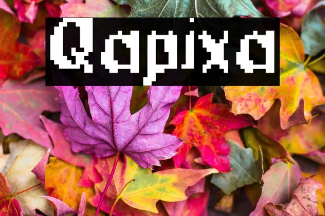 Qapixa Example 1