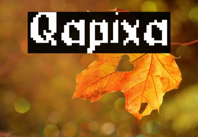 Qapixa Example 2