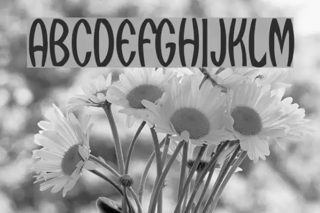 Qarats Font examples