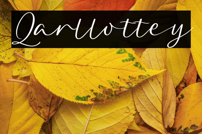 Qarllottey Example 1