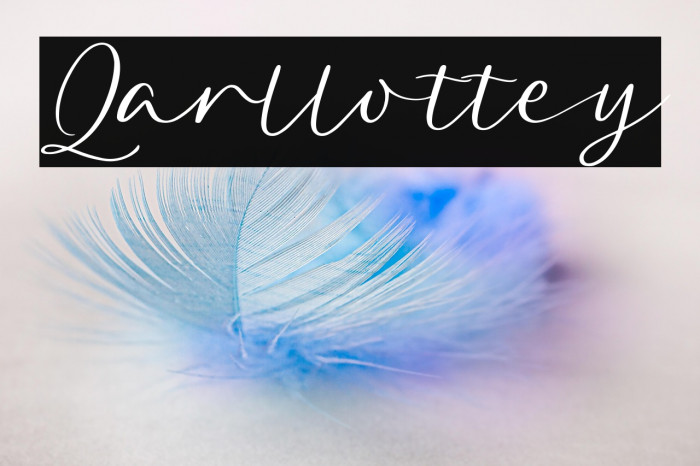 Qarllottey Example 3