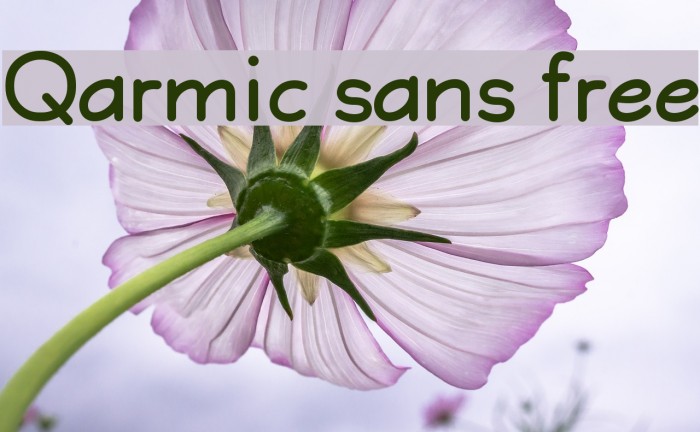 Qarmic sans free Font examples
