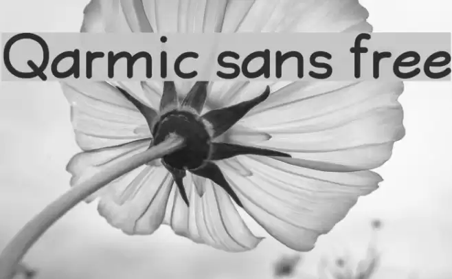 Qarmic sans free Font examples