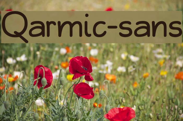 Qarmic-sans Font examples