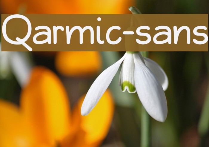 Qarmic-sans Font examples