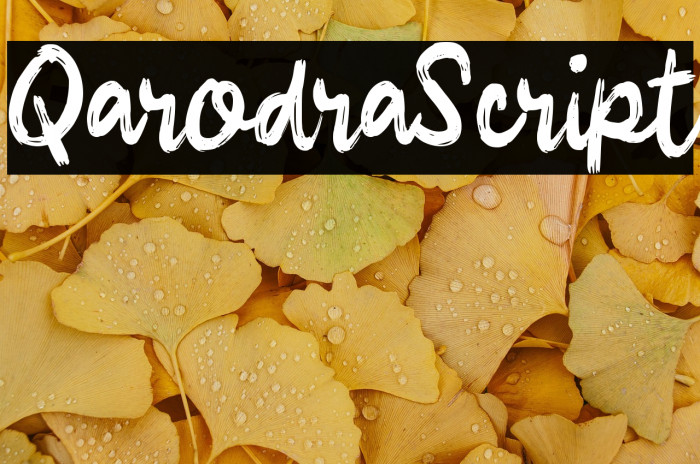 Qarodra Script Example 3