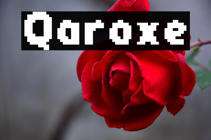 Qaroxe Example 2