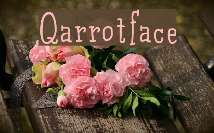 Qarrotface Font examples