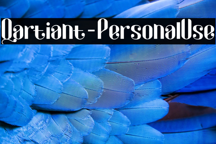 Qartiant-PersonalUse Example 1