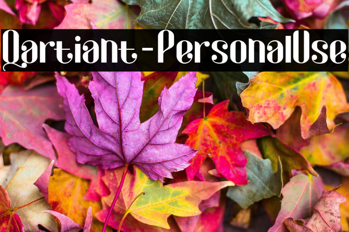 Qartiant-PersonalUse Example 3